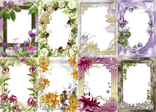 Цветочные рамки / Flower framework