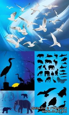 Collection of Vector for PHSP - Animals