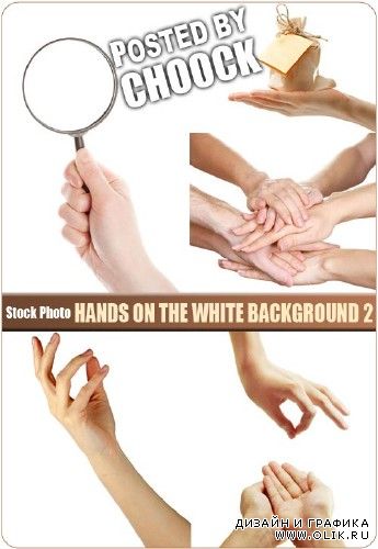Руки на белом фоне 2 - растровый клипарт