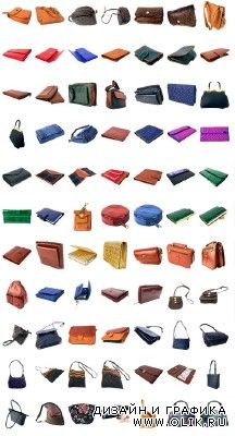 The collection of handbags and purses For PHSP