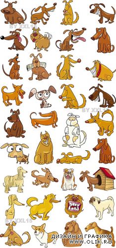 Funny dogs set