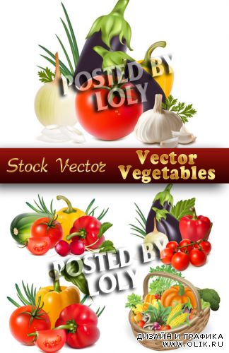Векторные Овощи - Векторный клипарт