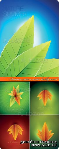 Фоны осенние листья | Autumn nature vector background