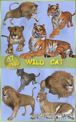 Клипарт Большие кошки — Цари природы