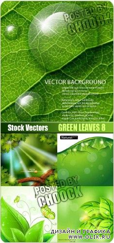 Зеленые листья 8 - векторный клипарт