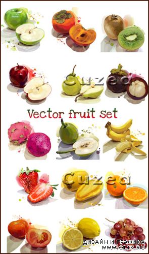 Векторный набор фруктов