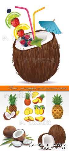 Ананас и кокос | Fruit - pineapple and coconut vector