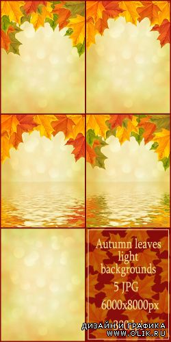 Autumn leaves light backgrounds