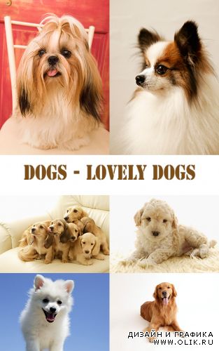 Симпатичные собачки / Lovely Dogs