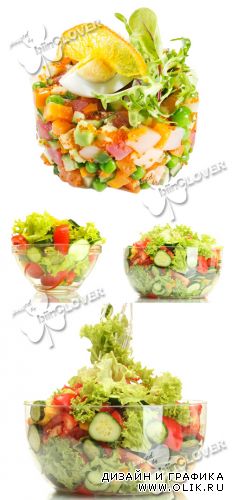 Fresh vegetable salad 0254