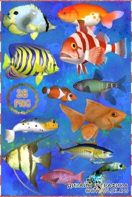 Клипарт PNG - Аквариумные рыбки