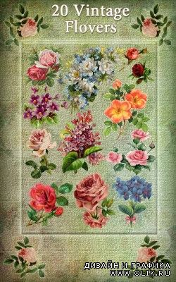 Клипарт - Винтажные цветы