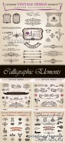 Calligraphic Design Elements Vector