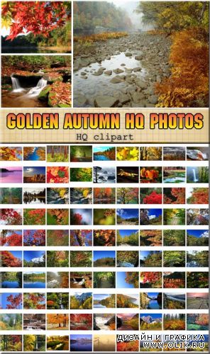 Осень в лесу - фотографии высокого качества (HQ clipart)