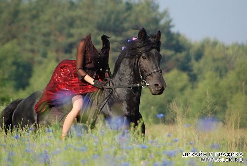 Женский шаблон – Девушка на конной прогулке