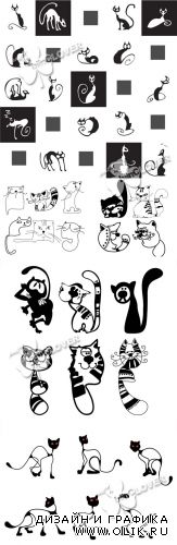 Black and white funny cats 0271