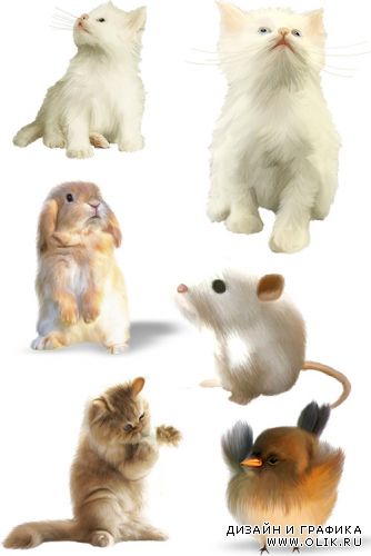 Котята, зайчик, мышка и птенец / Kittens, bunny, mouse and chick