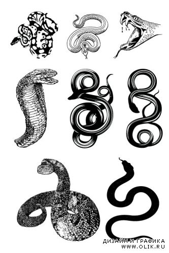Векторный клипарт – Змеи / Vector clipart – Snake