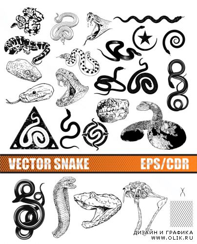 Vector Snakes, Cobra / Векторные змеи, кобра