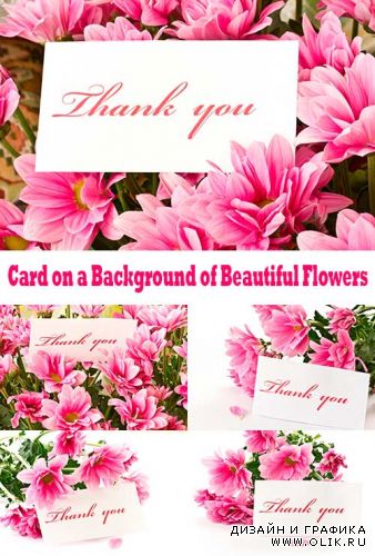 Карта на Фоне Прекрасных Цветов / Card on a Background of Beautiful Flowers