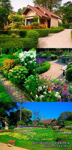 Домашний сад, клумбы / Home garden,flower beds
