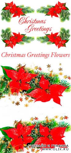 Рождественские Поздравления, Цветы / Christmas Greetings Flowers