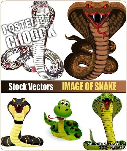 Изображение змеи - векторный клипарт