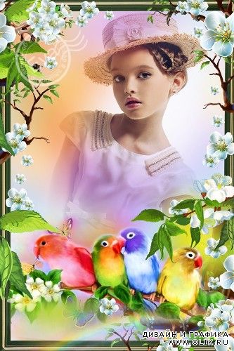 Детская рамочка для фото - Красивые попугайчики