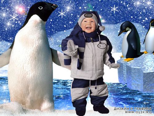 Шаблон фотошоп Веселые пингвины