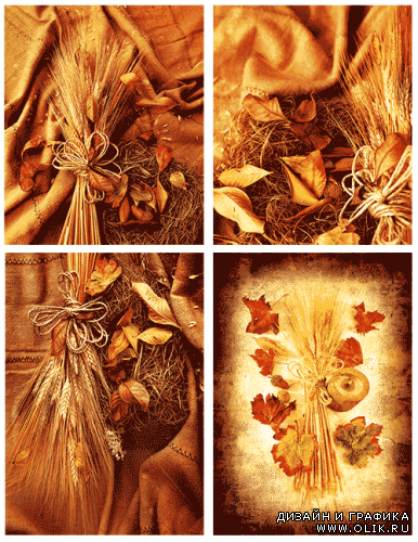 Осенние фоны | Autumn Backgrounds
