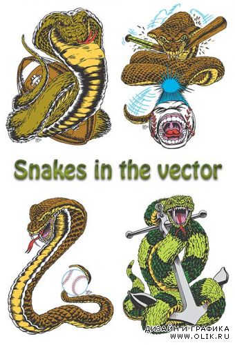 Змеи в векторе | Snakes in the vector