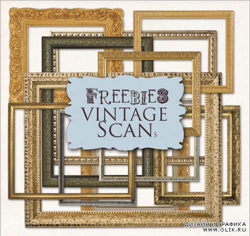 Collection of Golden Classic Frames and Garnish moldings