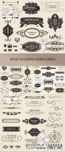 Vintage calligraphic design elements 0350