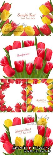 Color Tulips Cards Vector