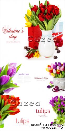 Разноцветные тюльпаны к празднику Святого Валентина
