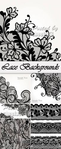 Lace Backgrounds Vector