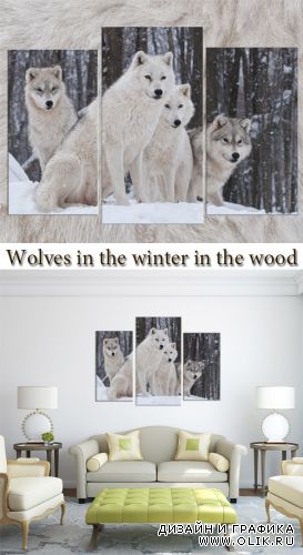 Triptyches, Fourplex - Wolves in the winter in the wood