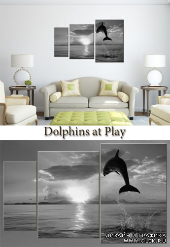 Triptyches, Fourplex - Dolphins at Play