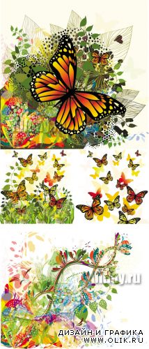 Butterflies & Flowers Cards Vector
