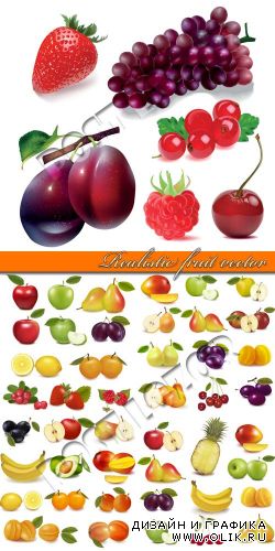 Реалистичные иллюстрации фрукты | Realistic fruit vector