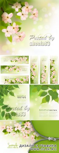 Spring Backgrounds Vector