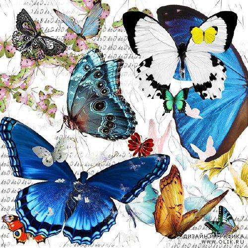 Клипарт - Прекрасные бабочки