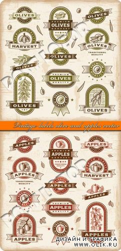 Винтажные этикетки оливки и яблоки | Vintage labels olive and apples vector