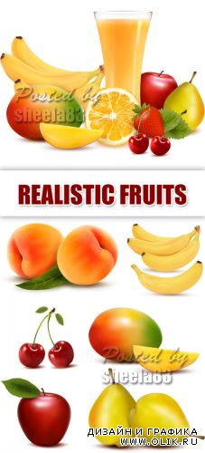 Realistic Fruits Vector