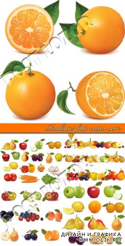Реалистичные иллюстрации фрукты 2 | Realistic fruit vector set 2