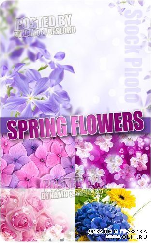 Весенние цветы 6 - Растровый клипарт