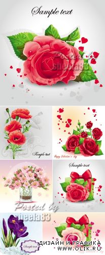 Beautiful Flowers Cards Vector