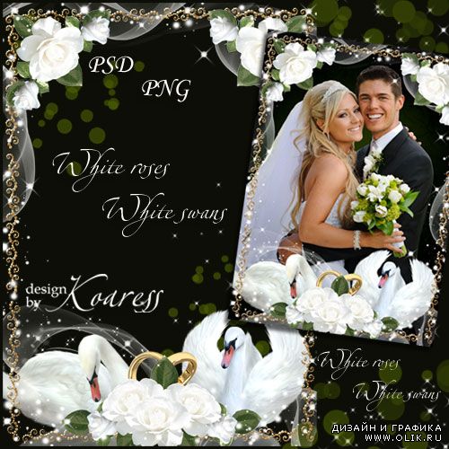 Свадебная рамка для фотошопа - Белые розы и белые лебеди