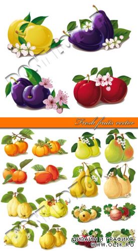 Свежие фрукты | Fresh fruits vector