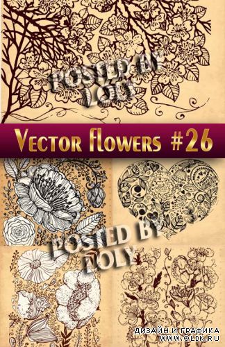 Цветы в векторе #26 - Векторный клипарт